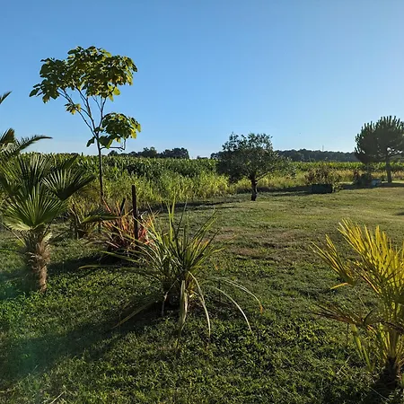 La Grange D'hardy 別荘